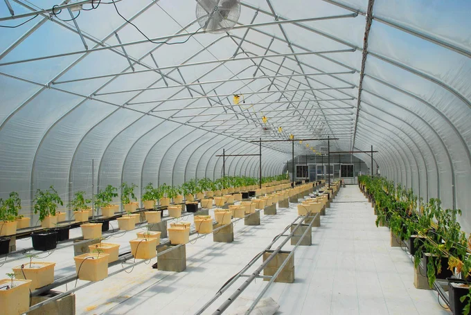 Интеграция проектов в единую экосистему