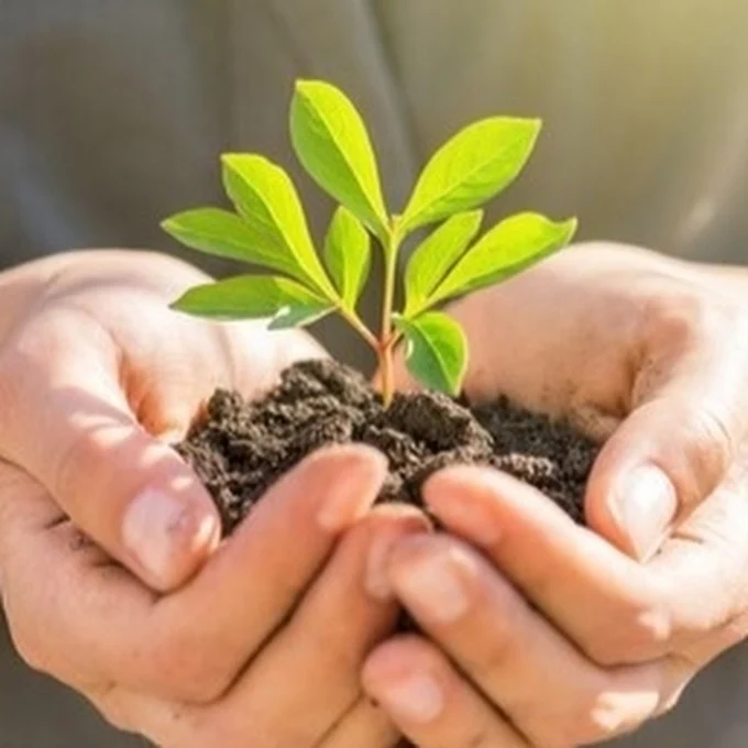 Глобальная экологизация